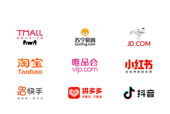 China E-Commerce Platform Data Coverage